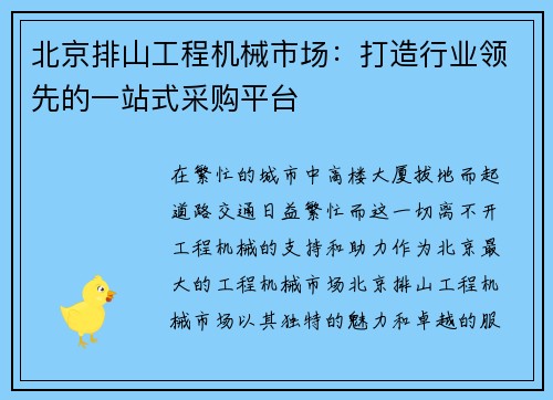 北京排山工程机械市场：打造行业领先的一站式采购平台