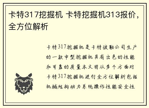 卡特317挖掘机 卡特挖掘机313报价，全方位解析