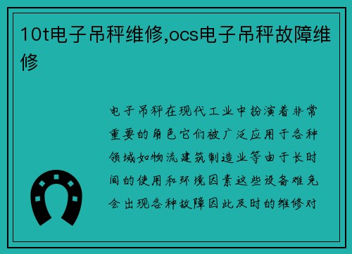 10t电子吊秤维修,ocs电子吊秤故障维修